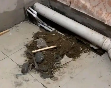大埔卫生间漏水检测哪家好